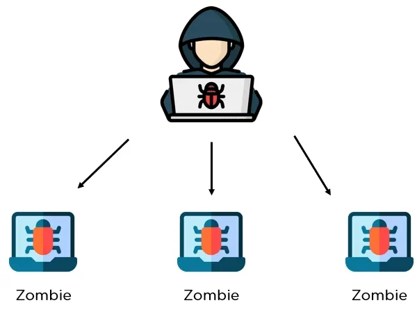 BOTNET LESSON 2025